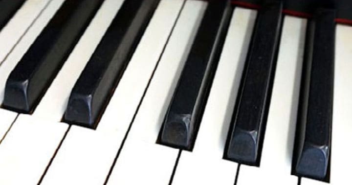 IVORY-ARTICLE-by-Alastair-Meiklejon