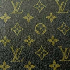 Louis Vuitton Canvas