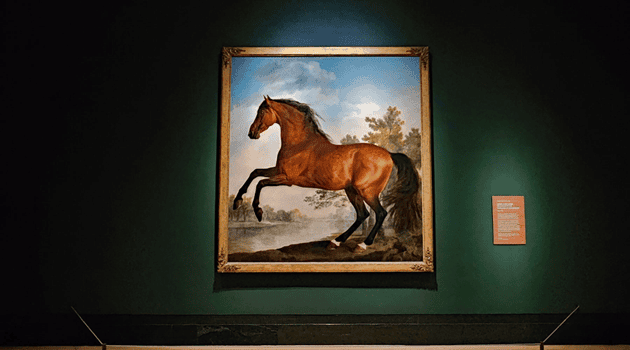 Stubbs: Portrait of a Horse The National Gallery
