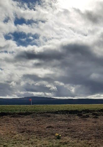 A view of Culloden Battlefield (Drummossie Moor)